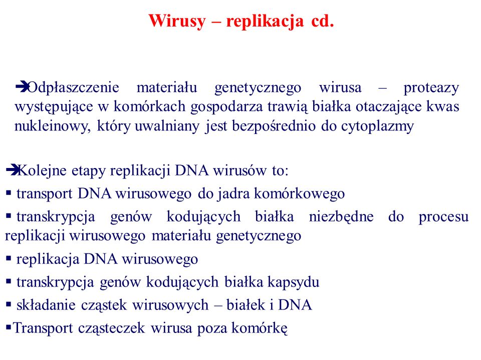 Wirusy – replikacja cd.