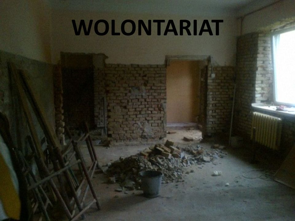 WOLONTARIAT