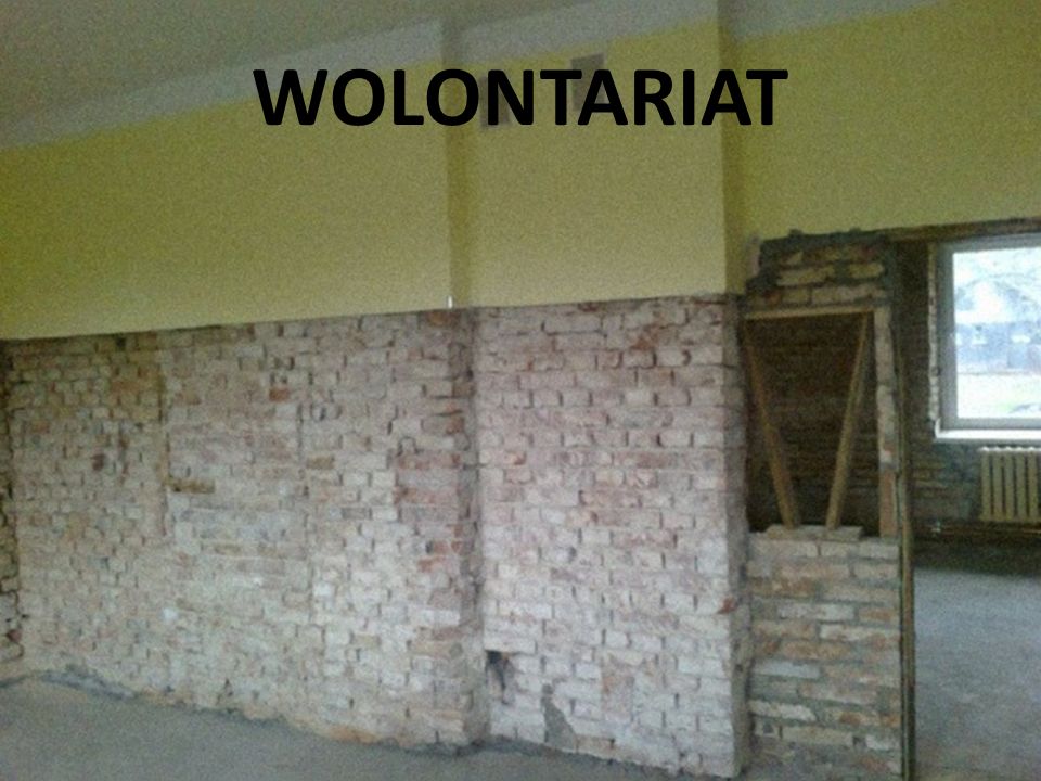 WOLONTARIAT