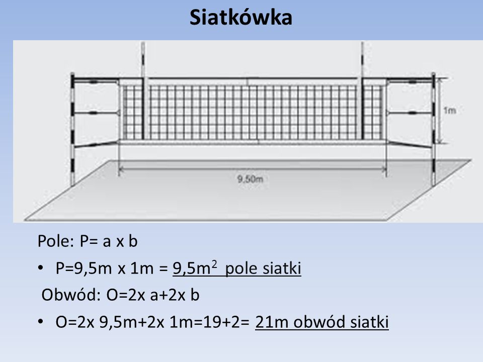 Siatkówka Pole: P= a x b P=9,5m x 1m = 9,5m2 pole siatki