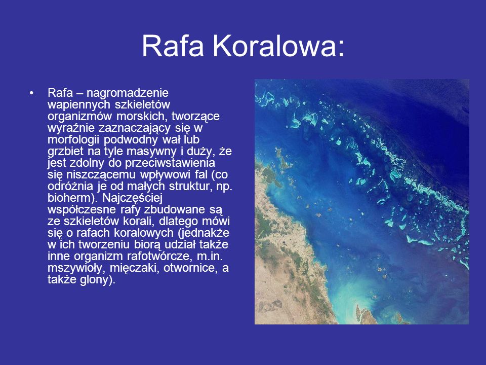 Rafa Koralowa: