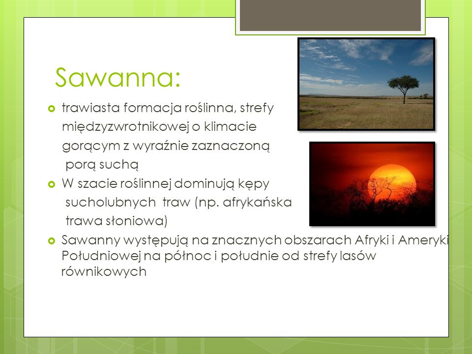 Sawanna: trawiasta formacja roślinna, strefy