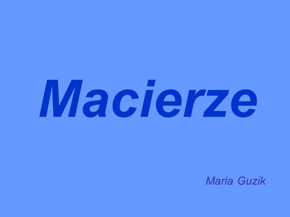 Macierze Maria Guzik