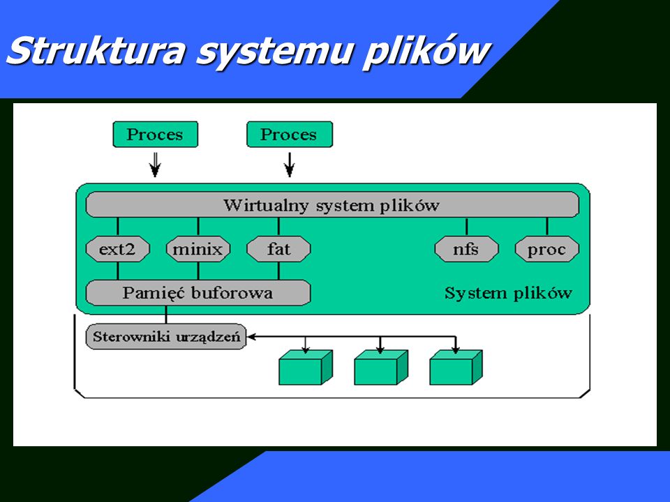 Struktura systemu plików