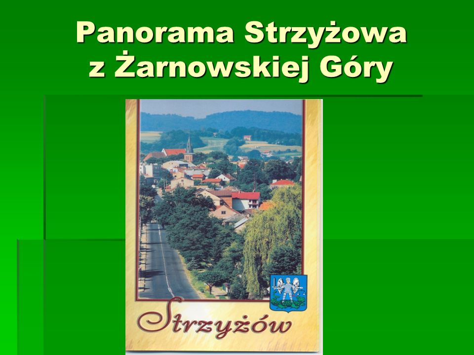 Panorama Strzyżowa z Żarnowskiej Góry
