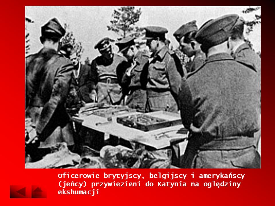 Oficerowie brytyjscy, belgijscy i amerykańscy (jeńcy) przywiezieni do Katynia na oględziny ekshumacji