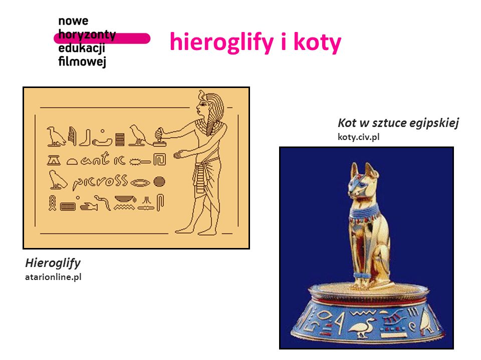 hieroglify i koty Kot w sztuce egipskiej Hieroglify