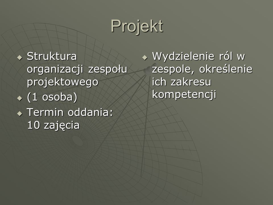 Projekt Struktura organizacji zespołu projektowego (1 osoba)