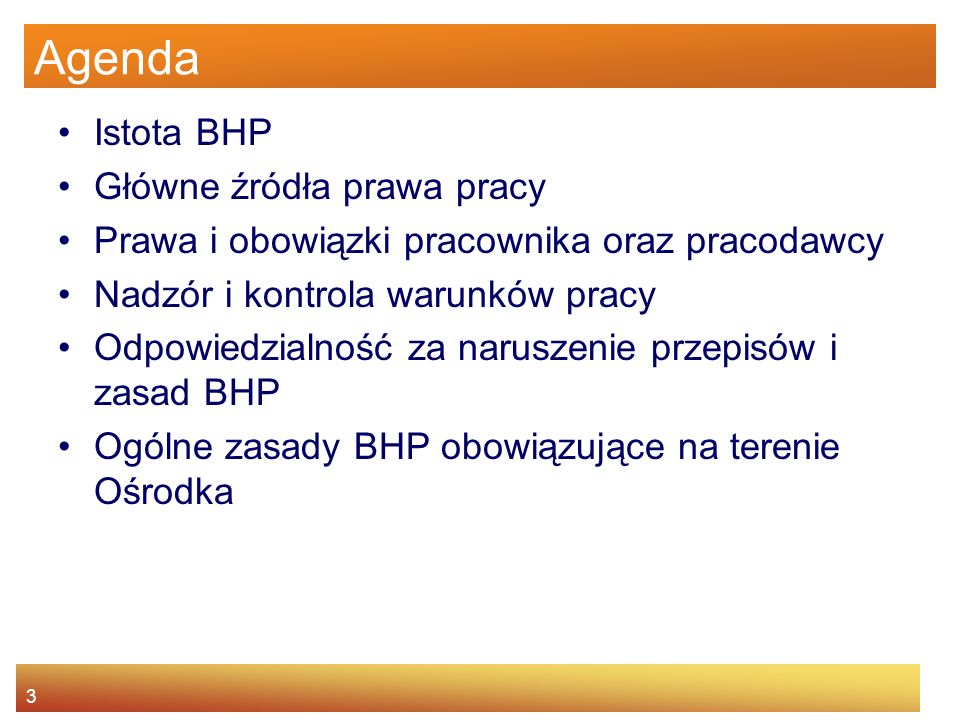 Agenda Istota BHP Główne źródła prawa pracy
