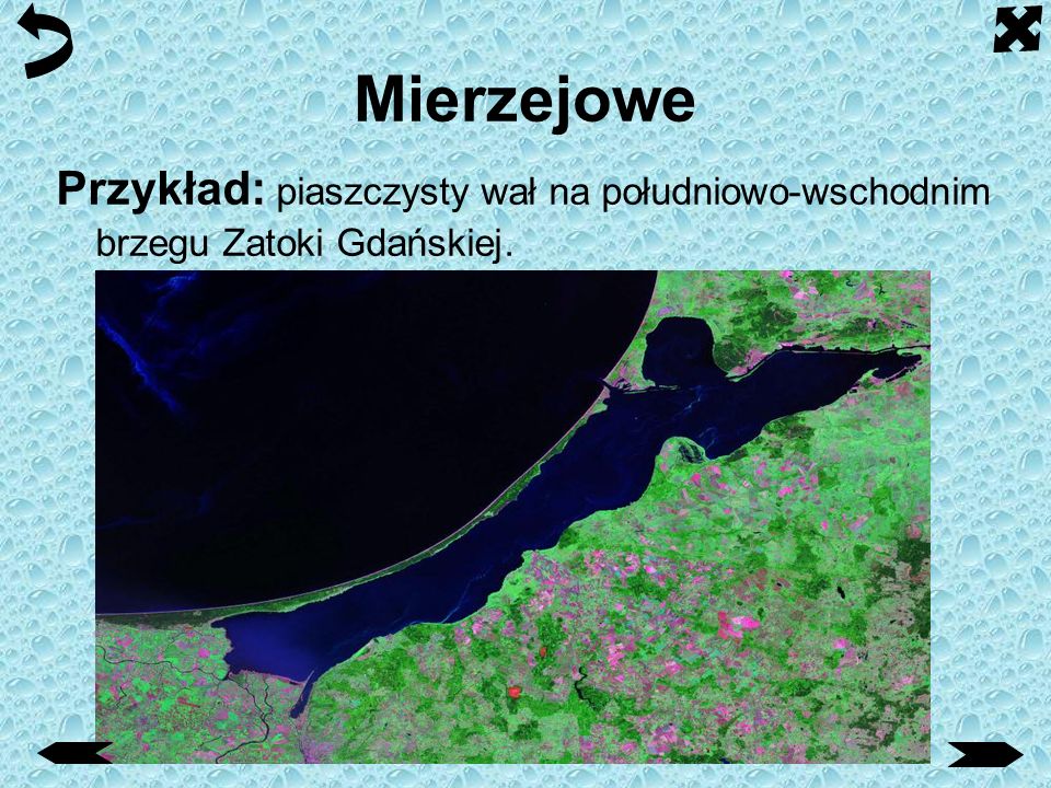 Mierzejowe Przykład: piaszczysty wał na południowo-wschodnim brzegu Zatoki Gdańskiej.