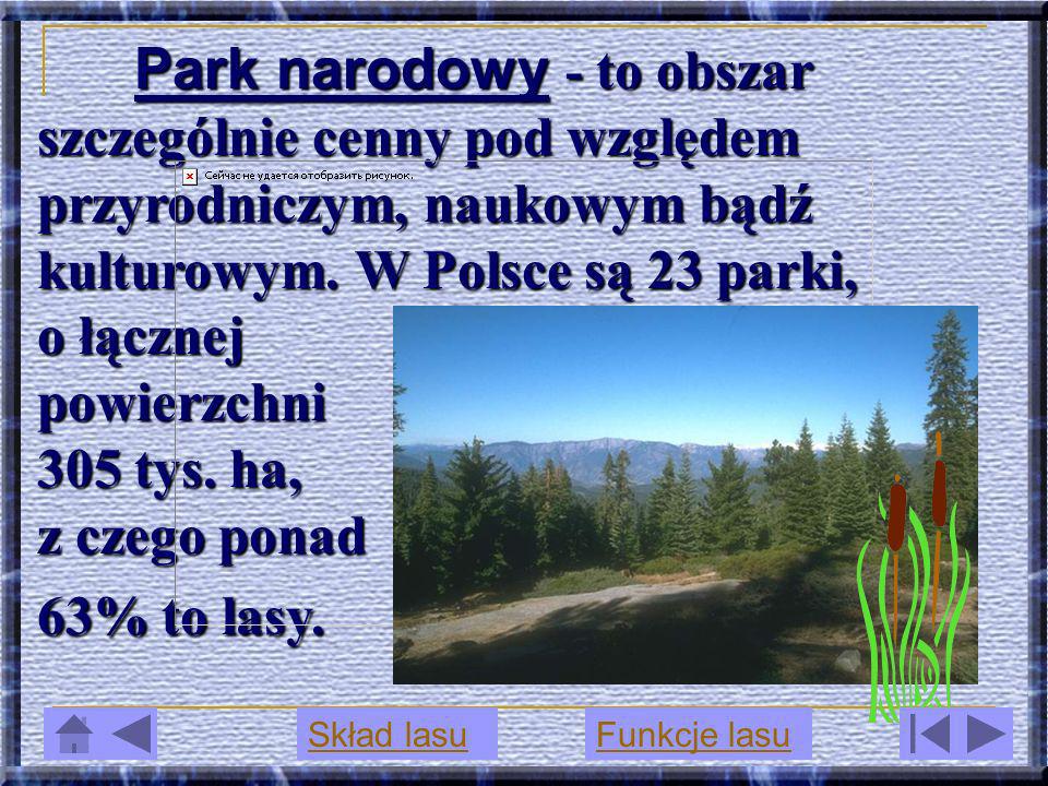 Park narodowy - to obszar szczególnie cenny pod względem przyrodniczym, naukowym bądź kulturowym. W Polsce są 23 parki, o łącznej powierzchni 305 tys. ha, z czego ponad 63% to lasy.
