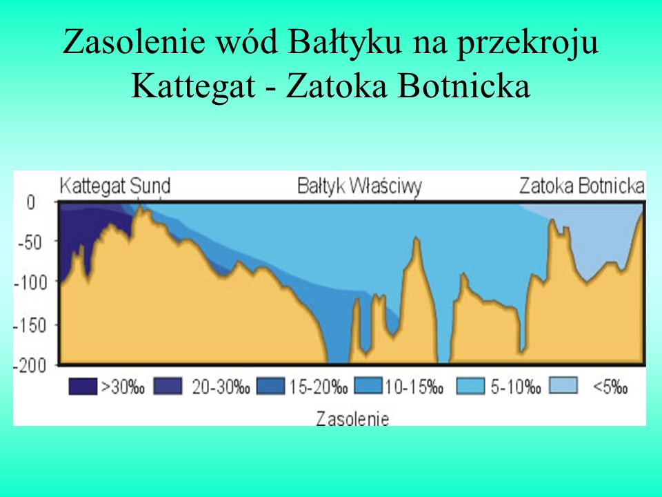 Zasolenie wód Bałtyku na przekroju Kattegat - Zatoka Botnicka