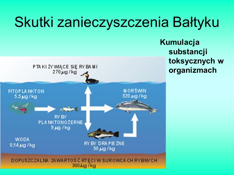 Skutki zanieczyszczenia Bałtyku