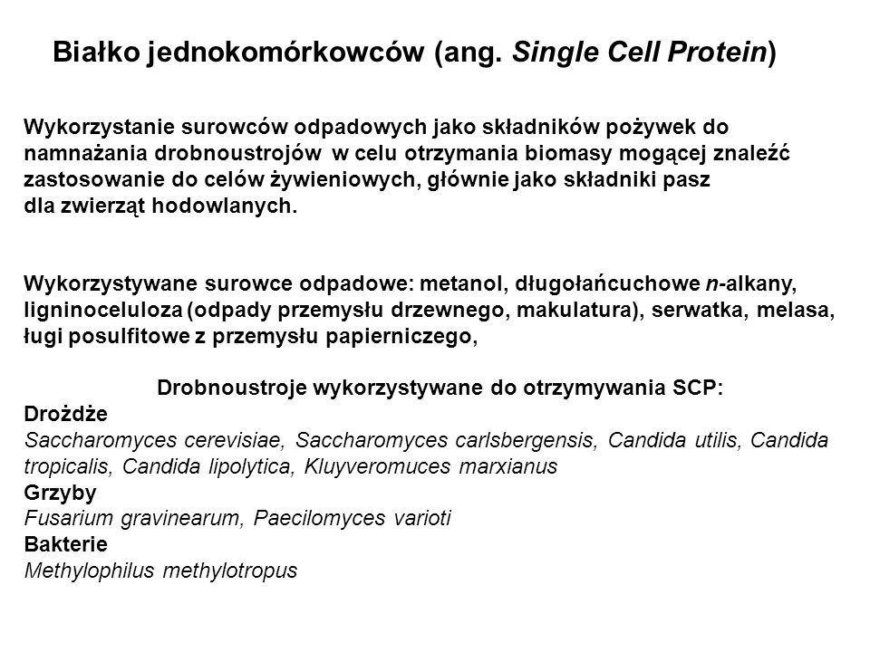 Białko jednokomórkowców (ang. Single Cell Protein)