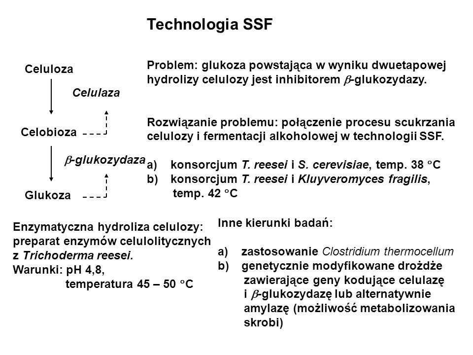 Technologia SSF Problem: glukoza powstająca w wyniku dwuetapowej