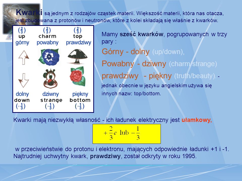 Górny - dolny (up/down),