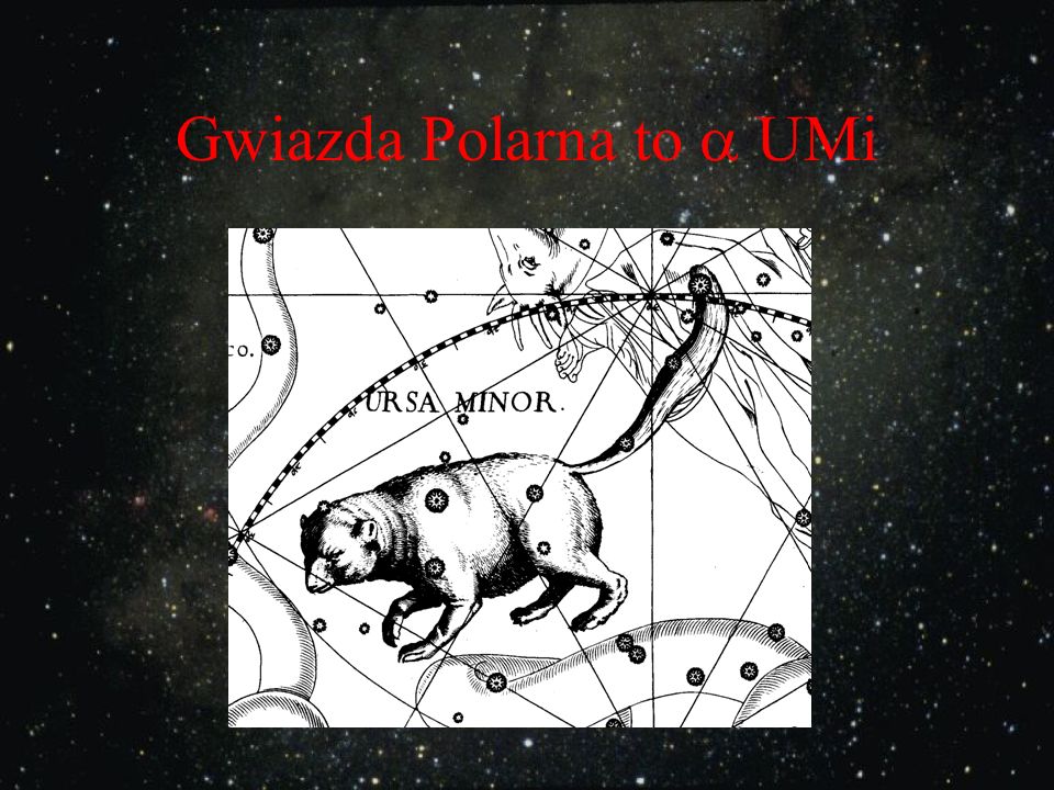 Gwiazda Polarna to  UMi