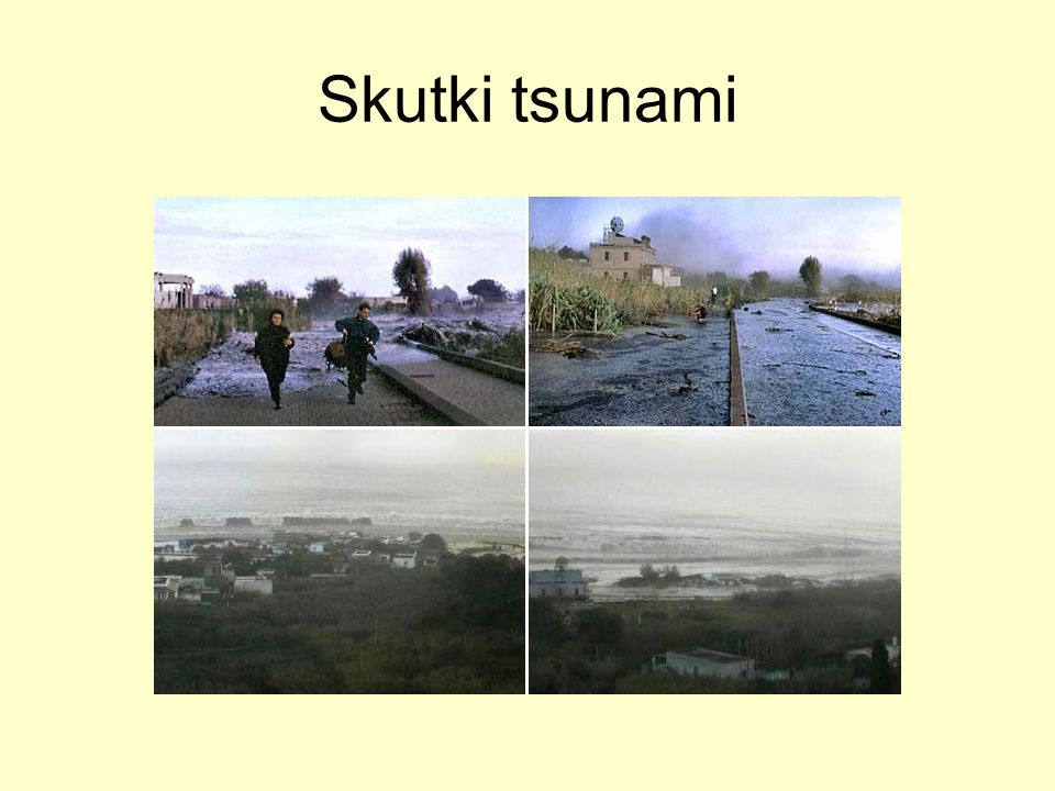 Skutki tsunami