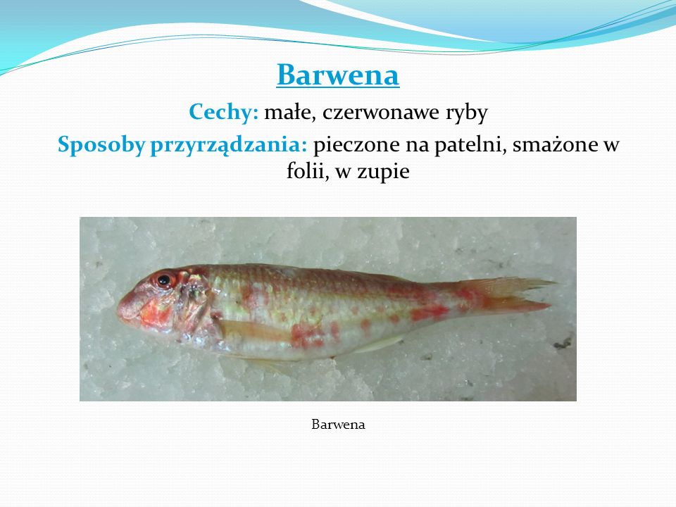 Barwena Cechy: małe, czerwonawe ryby