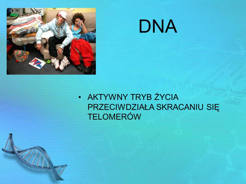 DNA AKTYWNY TRYB ŻYCIA PRZECIWDZIAŁA SKRACANIU SIĘ TELOMERÓW