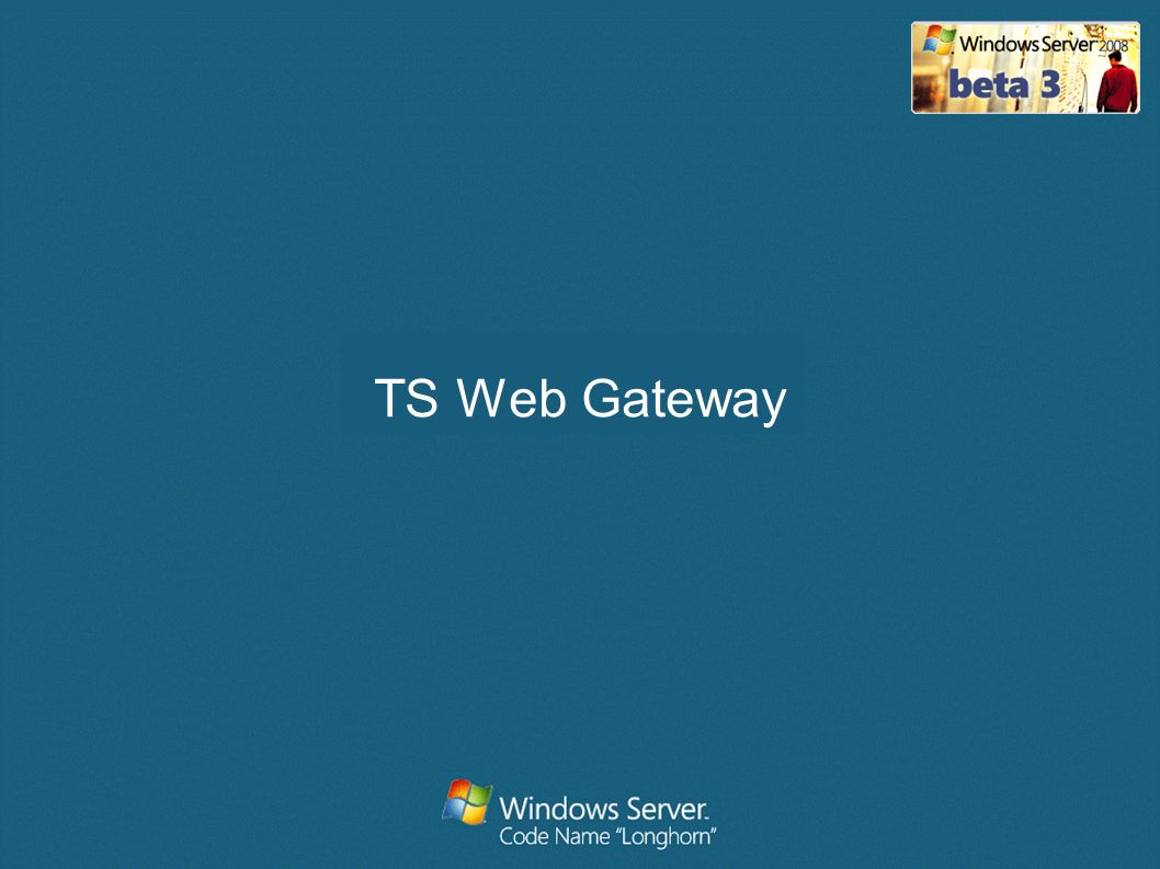 TS Web Gateway
