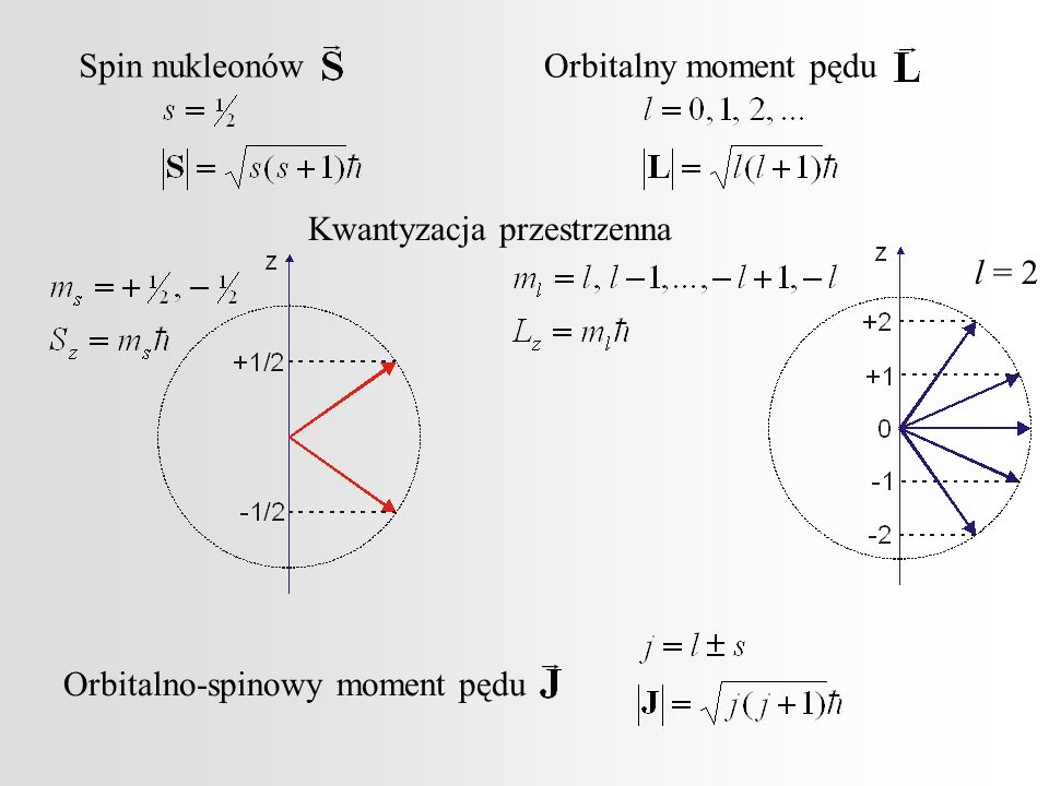 Spin nukleonów Orbitalny moment pędu Kwantyzacja przestrzenna l = 2 Orbitalno-spinowy moment pędu