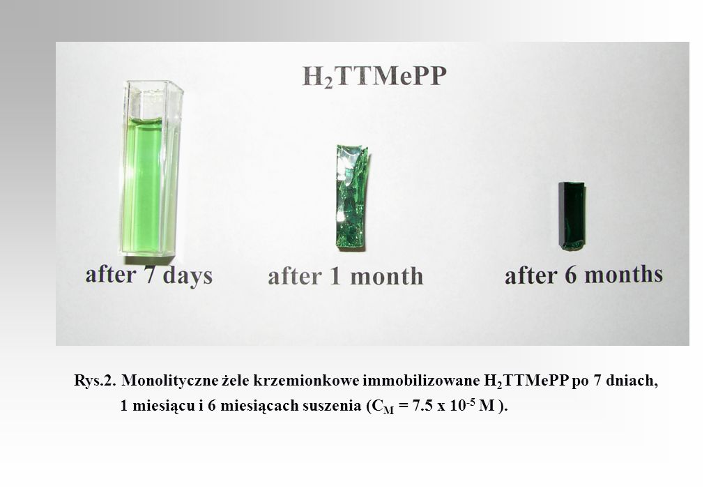Rys.2. Monolityczne żele krzemionkowe immobilizowane H2TTMePP po 7 dniach,