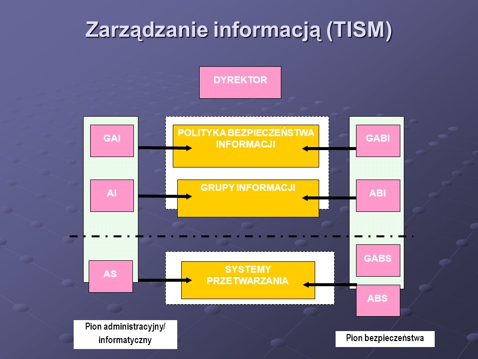 Zarządzanie informacją (TISM)