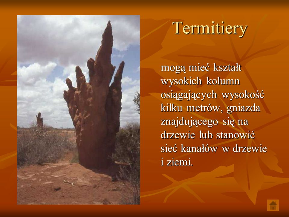 Termitiery