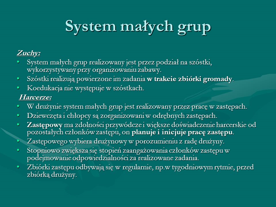 System małych grup Zuchy: