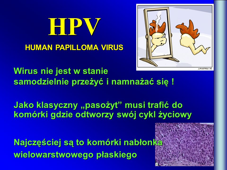 HPV Wirus nie jest w stanie samodzielnie przeżyć i namnażać się !