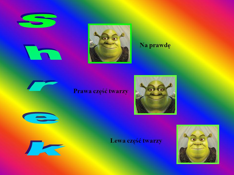 Na prawdę Shrek Prawa część twarzy Lewa część twarzy