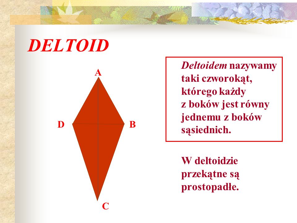 DELTOID Deltoidem nazywamy taki czworokąt, którego każdy z boków jest równy jednemu z boków sąsiednich.