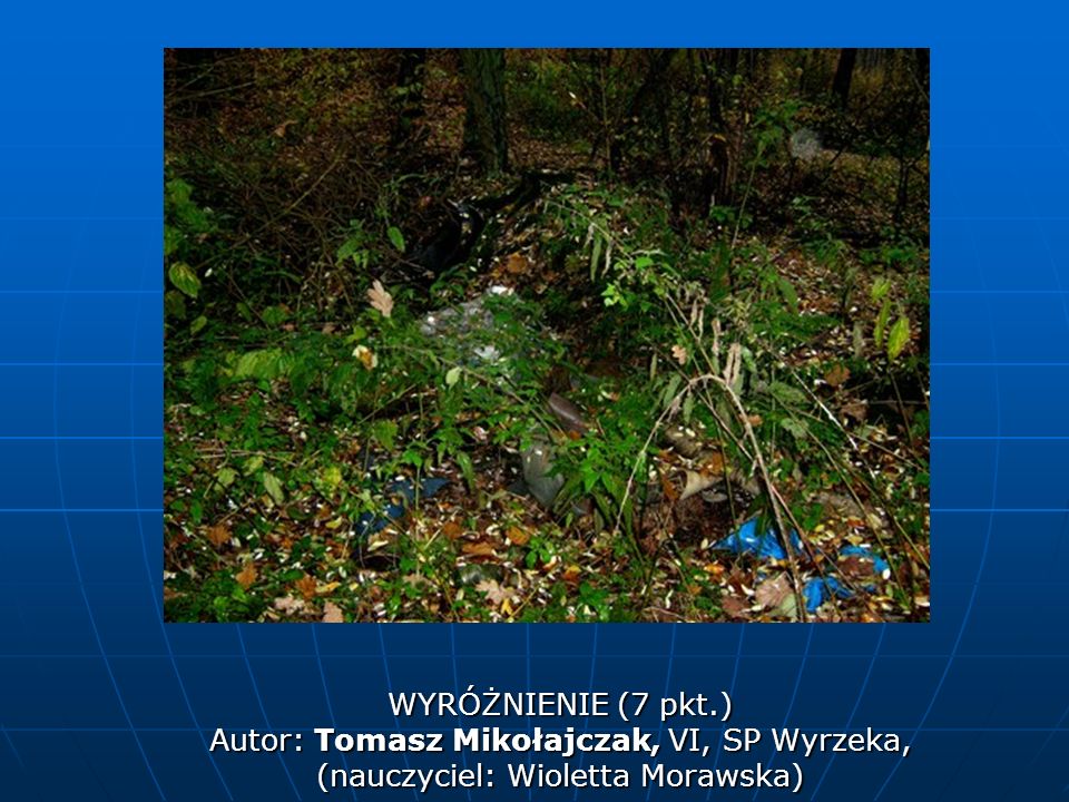 Autor: Tomasz Mikołajczak, VI, SP Wyrzeka,