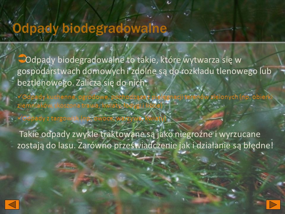 Odpady biodegradowalne