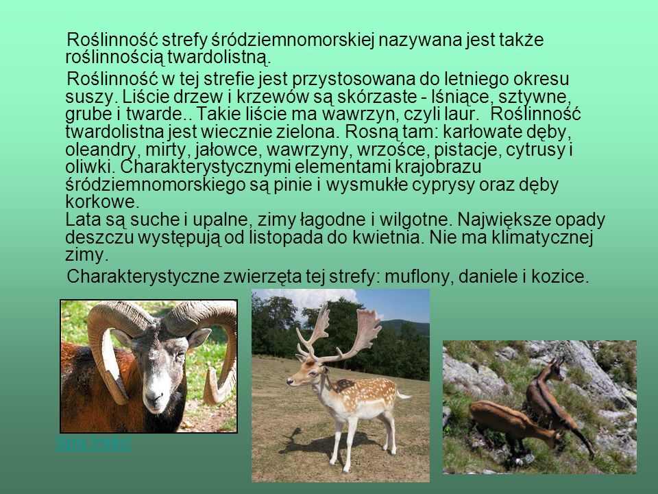 Charakterystyczne zwierzęta tej strefy: muflony, daniele i kozice.