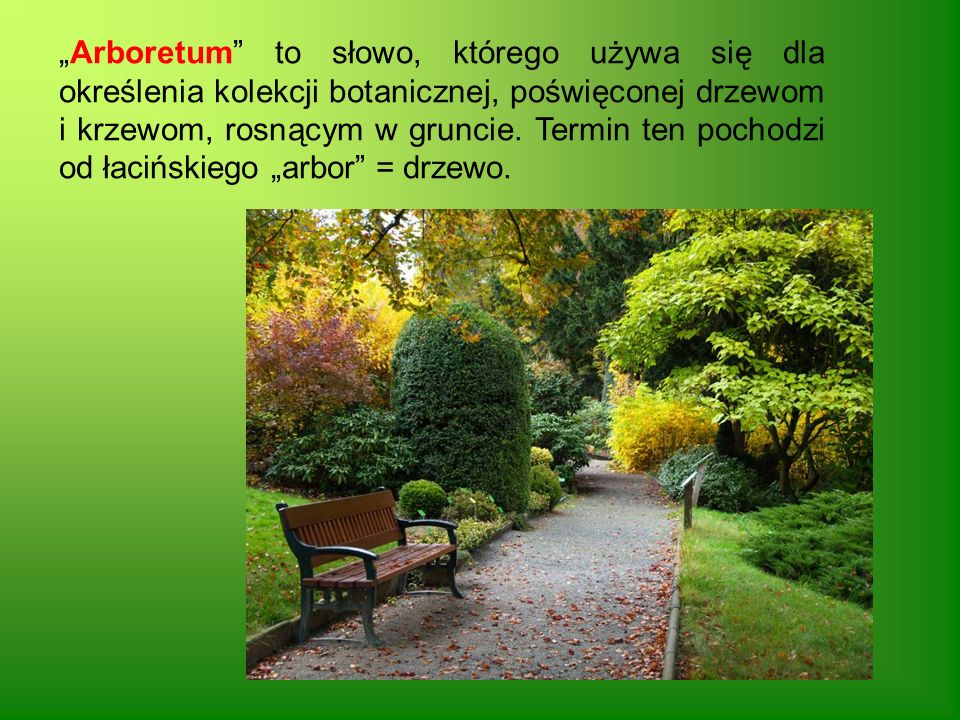 „Arboretum to słowo, którego używa się dla określenia kolekcji botanicznej, poświęconej drzewom i krzewom, rosnącym w gruncie.