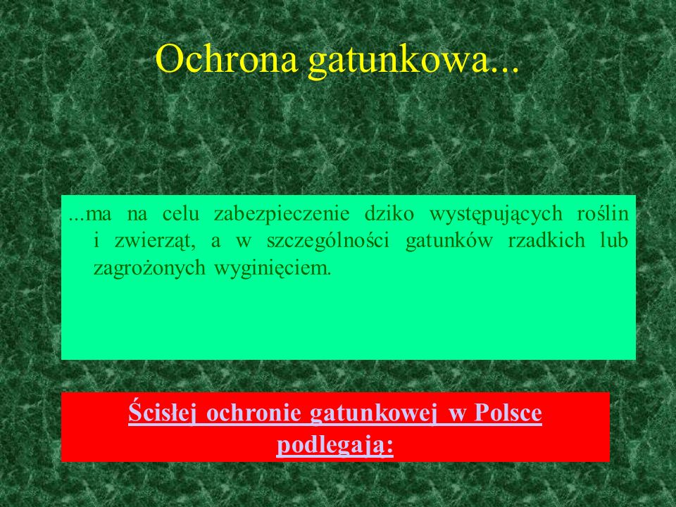 Ścisłej ochronie gatunkowej w Polsce podlegają: