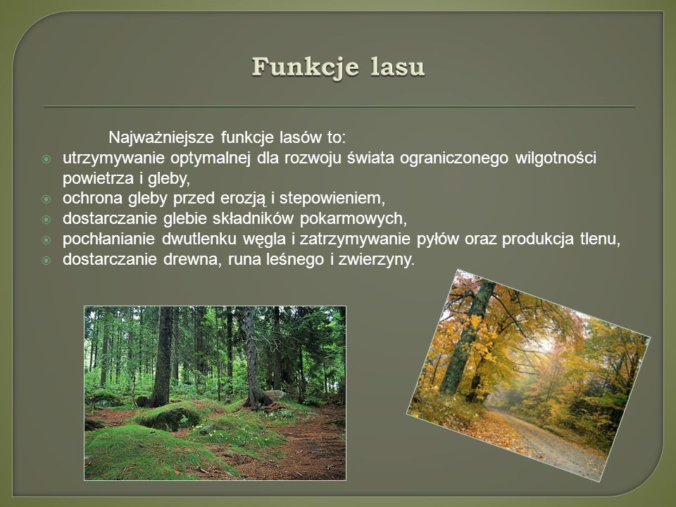 Funkcje lasu Najważniejsze funkcje lasów to: