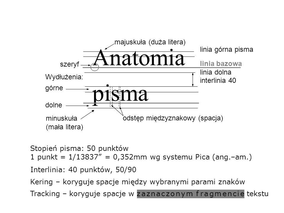 Anatomia pisma majuskuła (duża litera) linia górna pisma linia bazowa