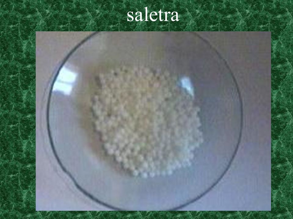 saletra