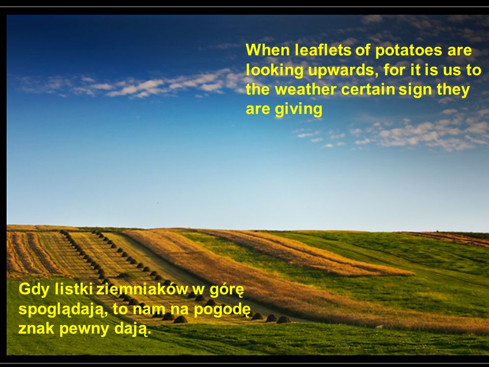 When leaflets of potatoes are looking upwards, for it is us to the weather certain sign they are giving