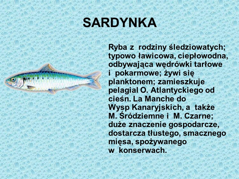 SARDYNKA