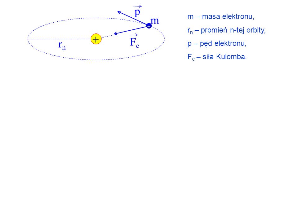 p m - + Fc rn m – masa elektronu, rn – promień n-tej orbity,