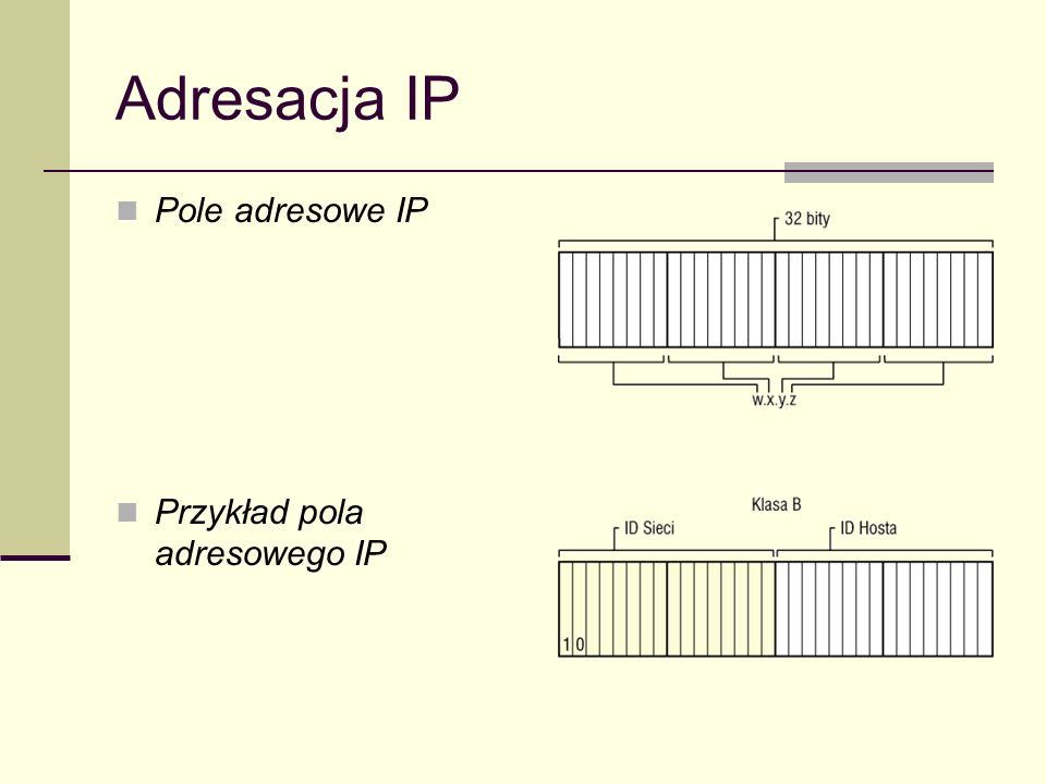 Adresacja IP Pole adresowe IP Przykład pola adresowego IP