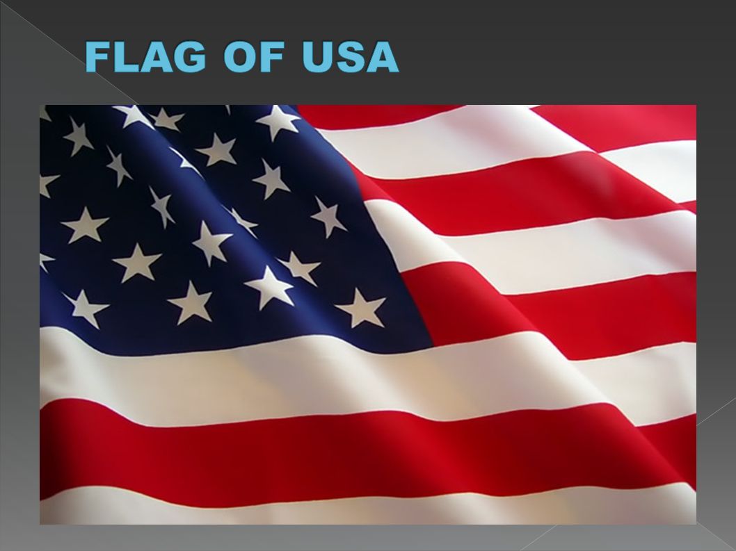 FLAG OF USA