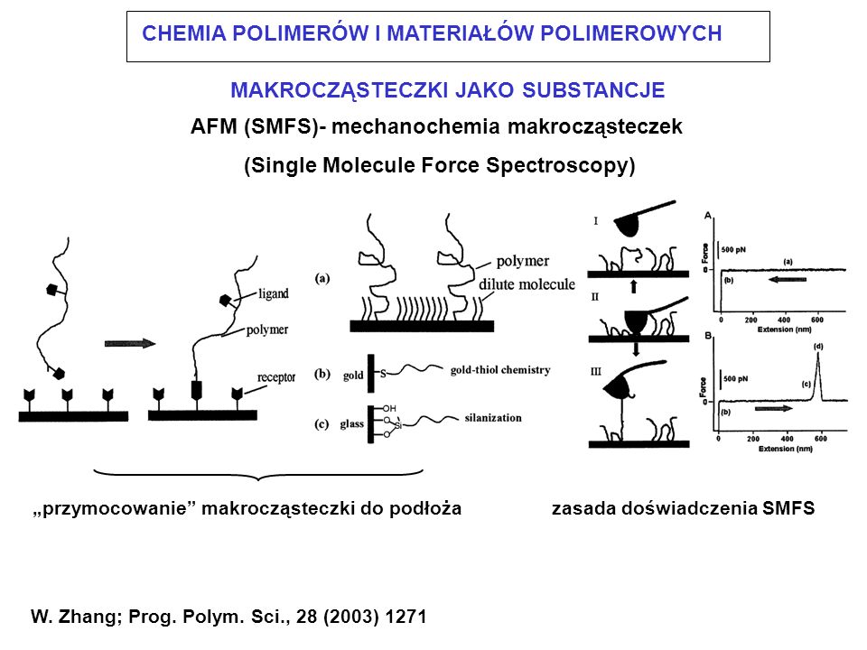 AFM (SMFS)- mechanochemia makrocząsteczek