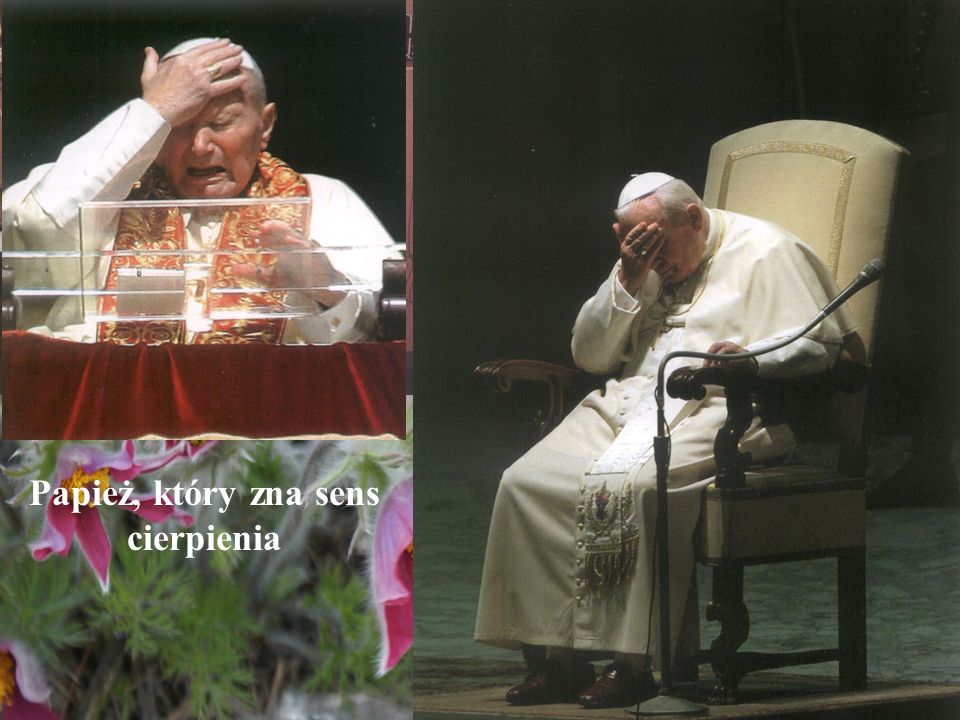 Papież, który zna sens cierpienia