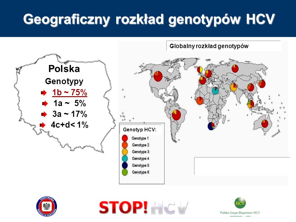 Geograficzny rozkład genotypów HCV