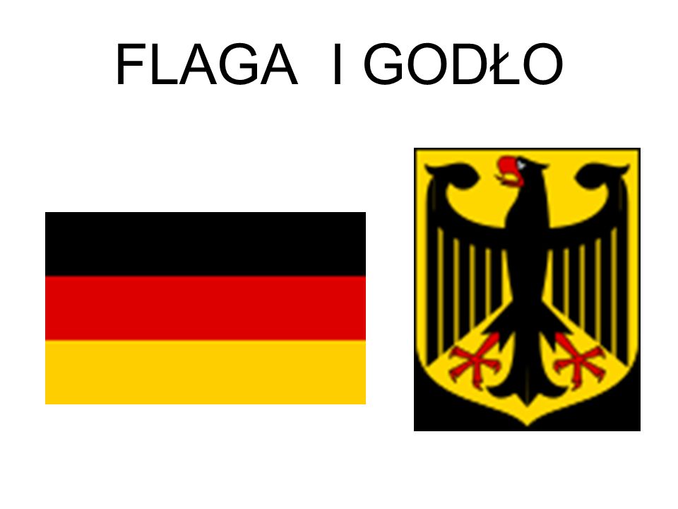 FLAGA I GODŁO